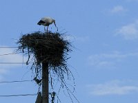 Notgavank 080516 45