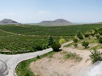 Vineyard Armas 160716 04