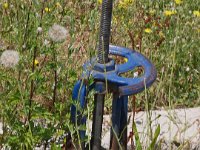 Vineyard Armas 160716 10