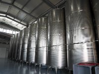 Vineyard Armas 160716 14