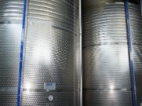 Vineyard Armas 160716 15