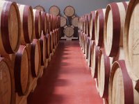 Vineyard Armas 160716 23
