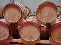 Vineyard Armas 160716 24