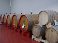 Vineyard Armas 160716 25