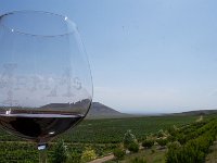Vineyard Armas 160716 28