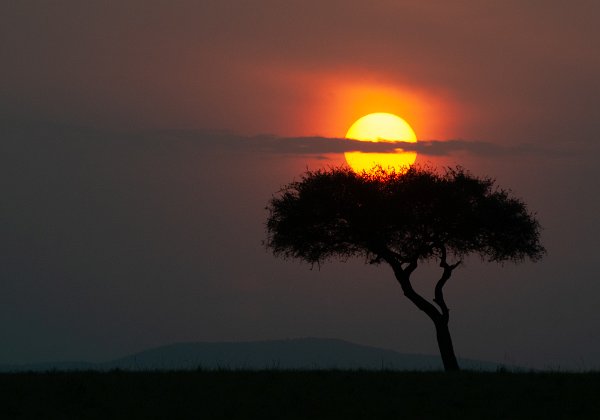 Masai Mara, 27, 28 July 2019