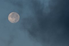 NNP_120120_02.jpg