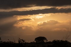 NNP_120120_04.jpg