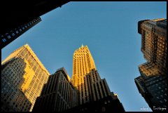 NY_10_11_10_11.jpg