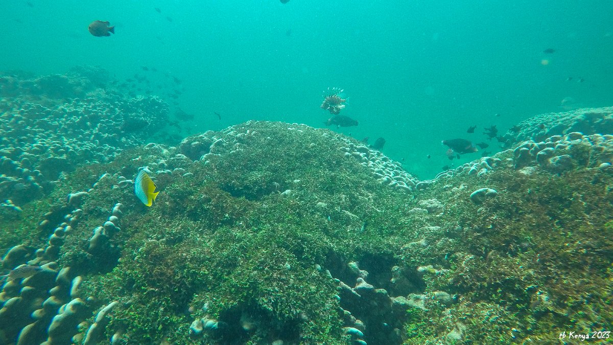 Wat03060223-46