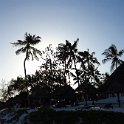 Wat03060223-04