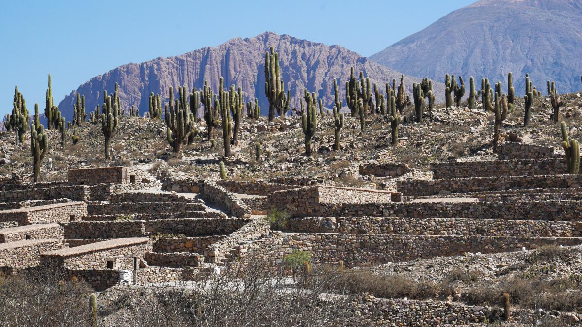 Clic pour voir les photos