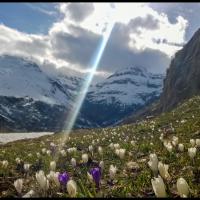 27 - L'Ecot, France, 2015