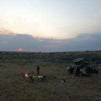 217 - Serengeti, Tanzania, 2021