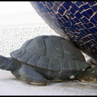 225a - Vienna, Austria, 2004