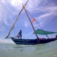 252 - Lamu region, Kenya, 2019