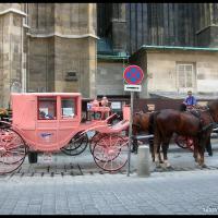 316 - Vianna, Austria, 2004